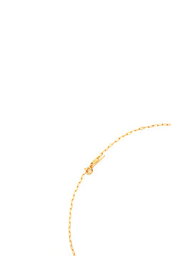 CATENA ELLIPSE